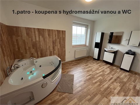 Prodej rodinného domu, 287 m² - 18