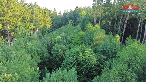 Prodej lesu, 5 139 m² - 4