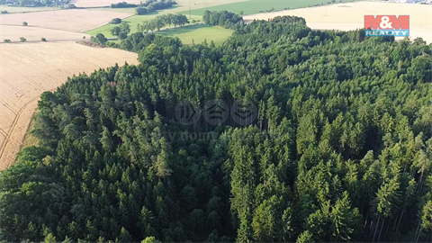 Prodej lesu, 5 139 m² - 2