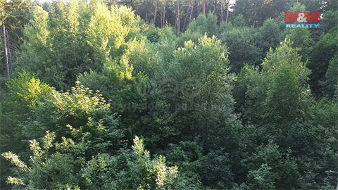 Prodej lesu, 5 139 m² 6
