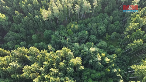 Prodej lesu, 5 139 m² 4