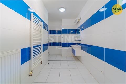 Prodej rodinného domu, 279 m² - 10