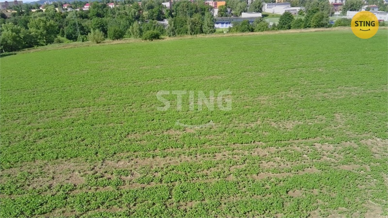 Obrázek č. 1