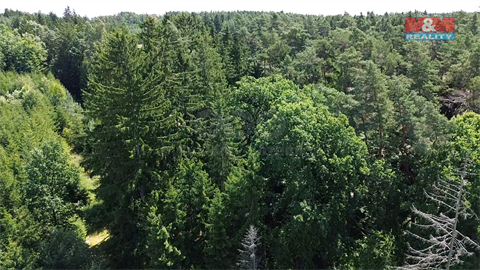 Prodej lesu, 5 323 m² - 8