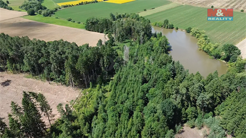 Prodej lesu, 5 323 m² 4
