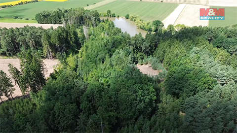 Prodej lesu, 5 323 m² 6