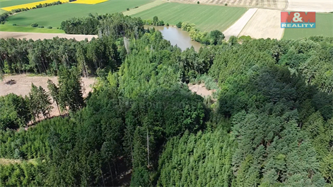 Prodej lesu, 5 323 m² - 4