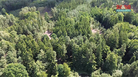 Prodej lesu, 5 323 m² - 2