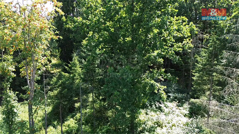 Prodej lesu, 5 323 m² 10