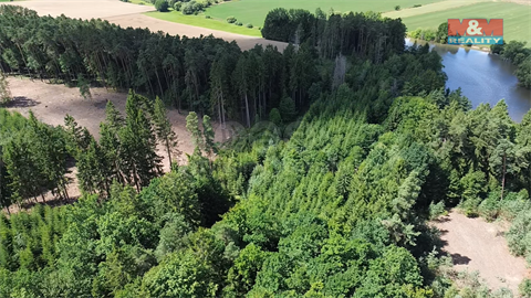 Prodej lesu, 5 323 m² - 6