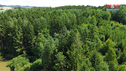 Prodej lesu, 5 323 m² 8