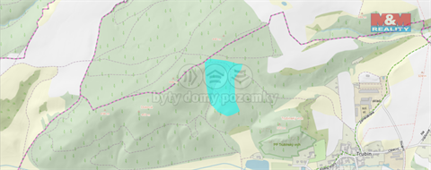 Prodej lesu, 62 499 m² - 4