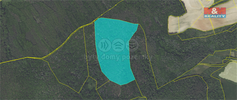 Prodej lesu, 62 499 m² 4