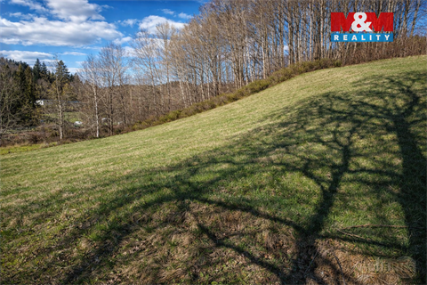 Prodej louky, 2 749 m² - 8