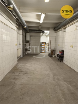 Pronájem obchodních prostor, 126 m² 4