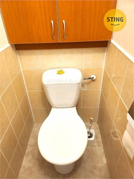 Pronájem bytu 2+1, 45 m² 8