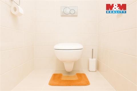 Prodej bytu 2+1, 53 m² 12