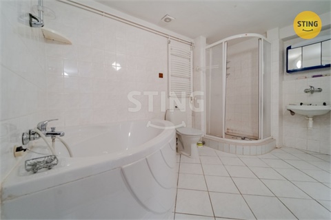 Prodej rodinného domu, 497 m² - 12