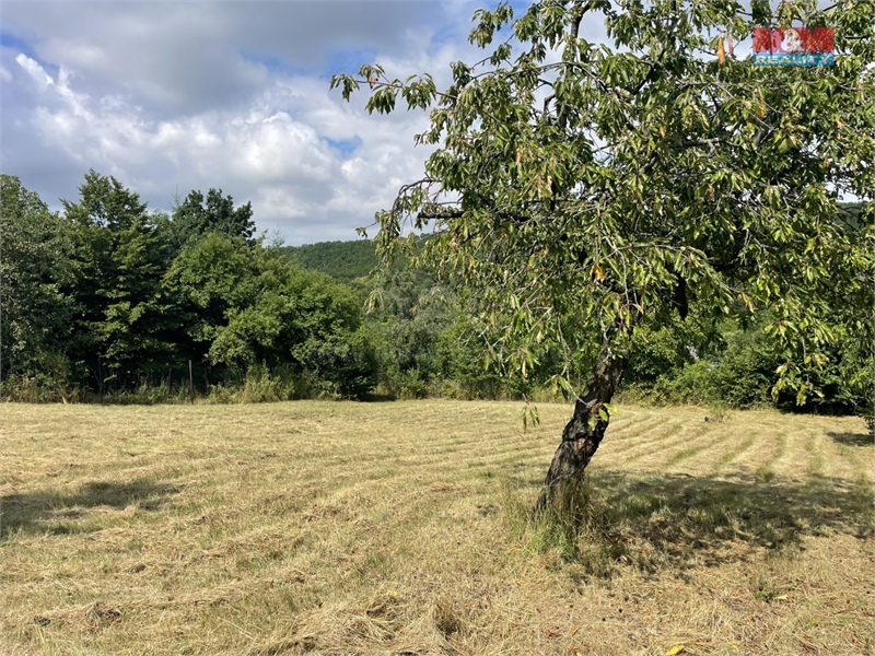 Obrázek č. 1