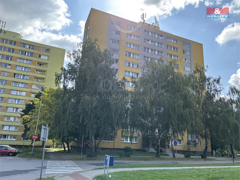Obrázek č. 1