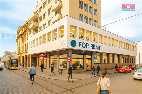 Pronájem obchodních prostor, 182 m² - 2