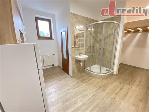 Pronájem bytu 1kk, 21 m² - 0