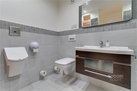 Pronájem bytu 2kk, 84 m² - 20