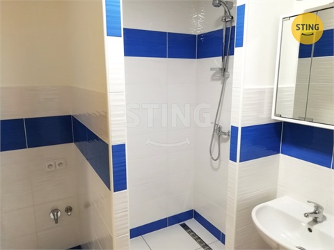 Pronájem bytu 1+1, 39 m² - 0