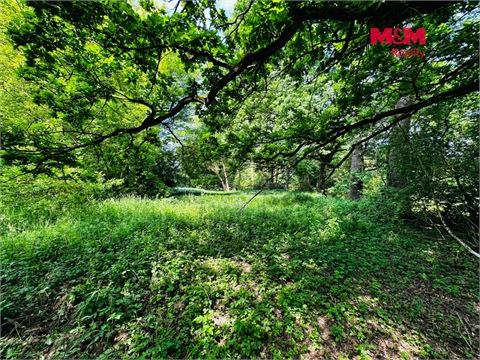 Prodej lesu, 7 342 m² - 6