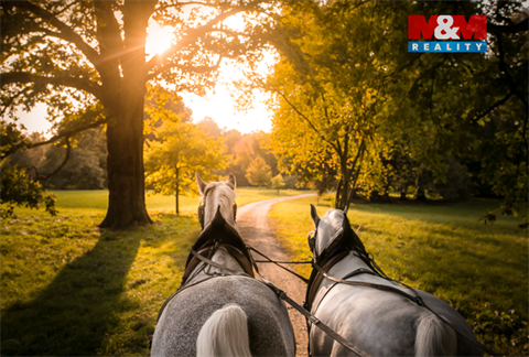 Prodej rodinného domu, 200 m² 18