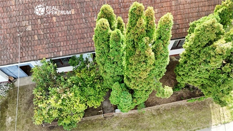 Prodej rodinného domu, 130 m² 6