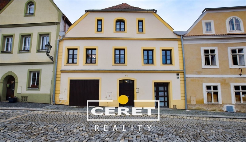 Obrázek č. 1