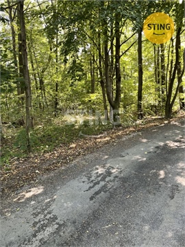 Prodej lesu, 9 789 m² 4