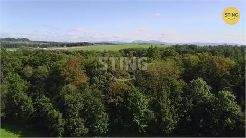 Prodej lesu, 9 789 m² 8