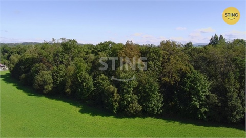 Prodej lesu, 9 789 m² - 8