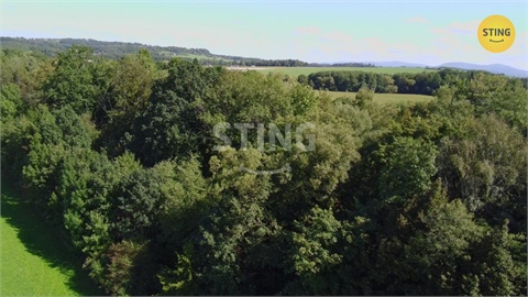 Prodej lesu, 9 789 m² 0