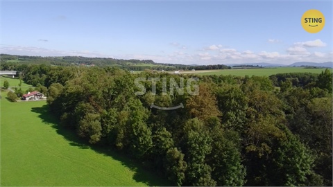 Prodej lesu, 9 789 m² - 10