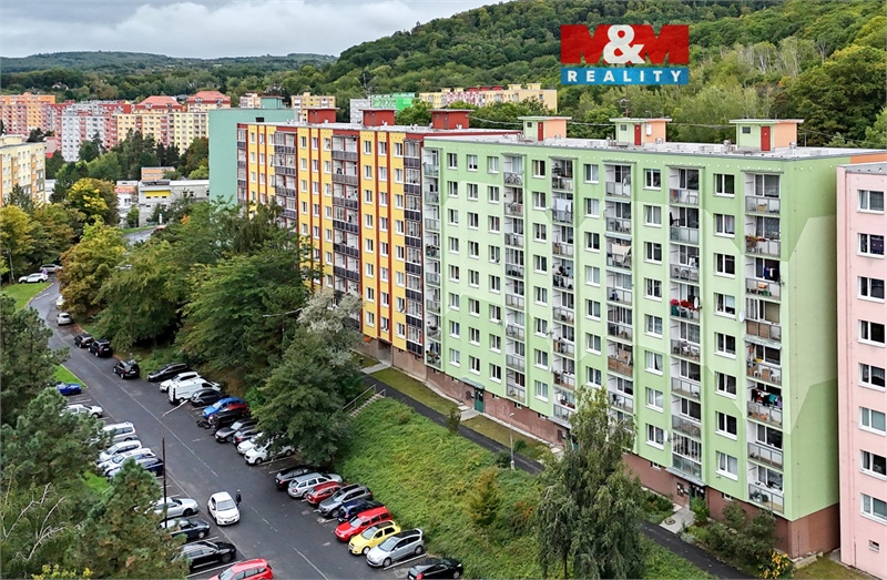 Obrázek č. 1