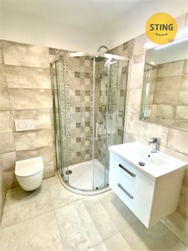 Pronájem bytu 2+1, 57 m² 8