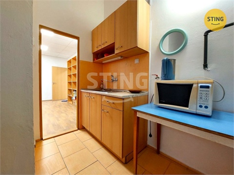 Pronájem obchodních prostor, 140 m² - 8