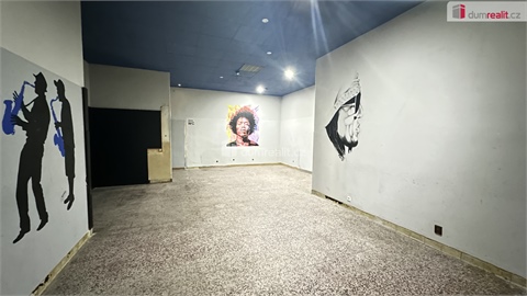 Pronájem obchodních prostor, 200 m² - 6