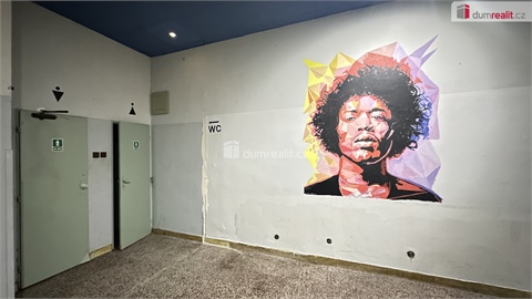 Pronájem obchodních prostor, 200 m² 26