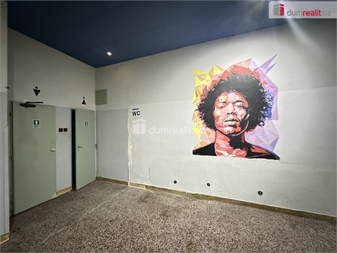 Pronájem obchodních prostor, 200 m² - 10