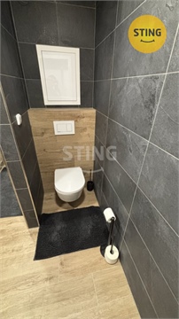 Pronájem bytu 3kk, 66 m² 16