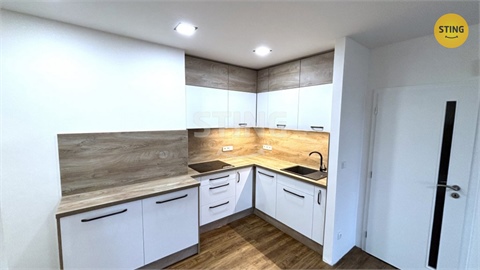 Pronájem bytu 3kk, 66 m² - 4