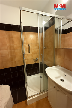 Prodej bytu 3+1, 68 m² 36