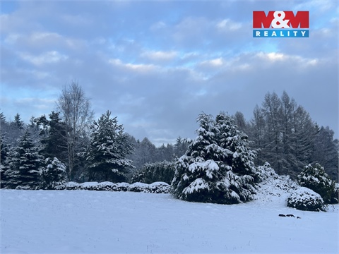 Prodej zahrady, 6 000 m² - 4