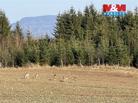 Prodej zahrady, 6 000 m² - 6