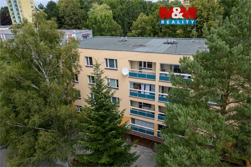 Obrázek č. 1