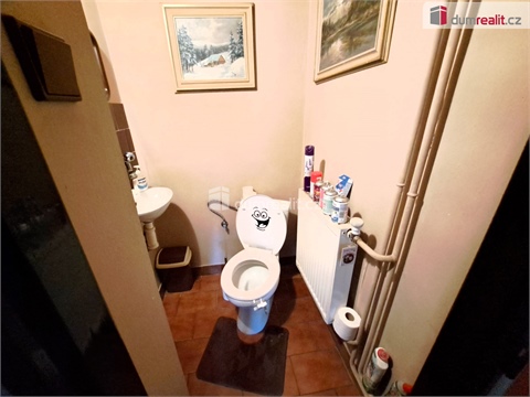 Prodej rodinného domu, 430 m² 10